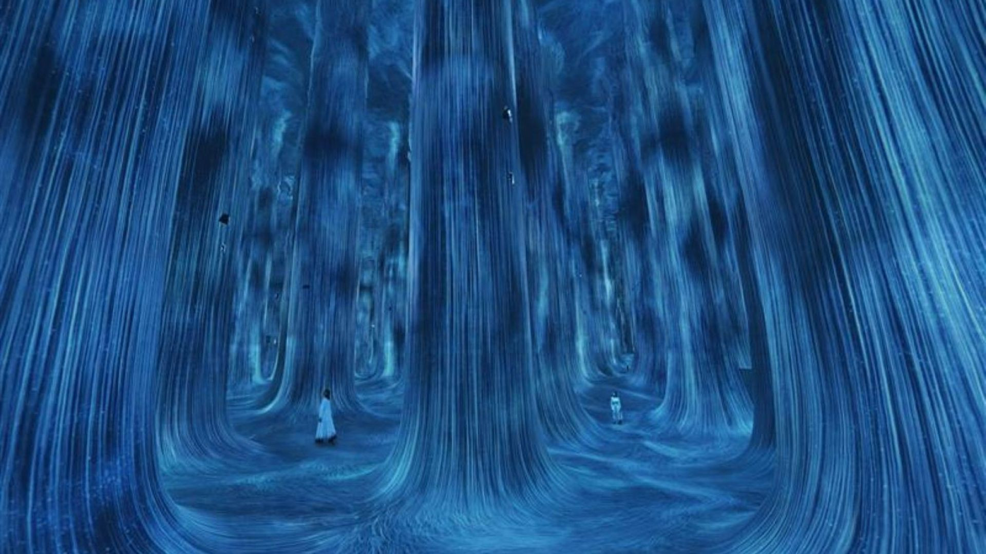 1 Day 1 Park (Dated & Timed)