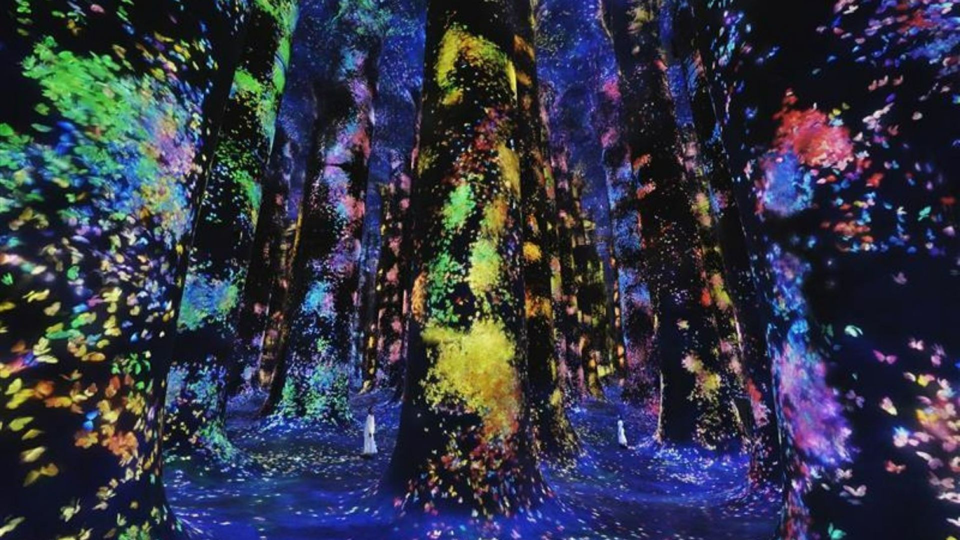 1 Day 1 Park (Dated & Timed)