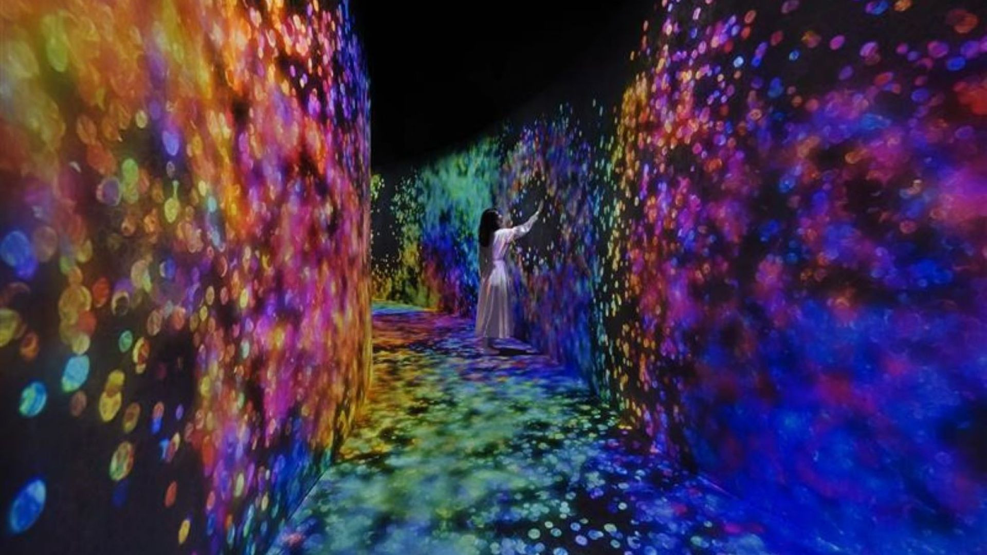 1 Day 1 Park (Dated & Timed)