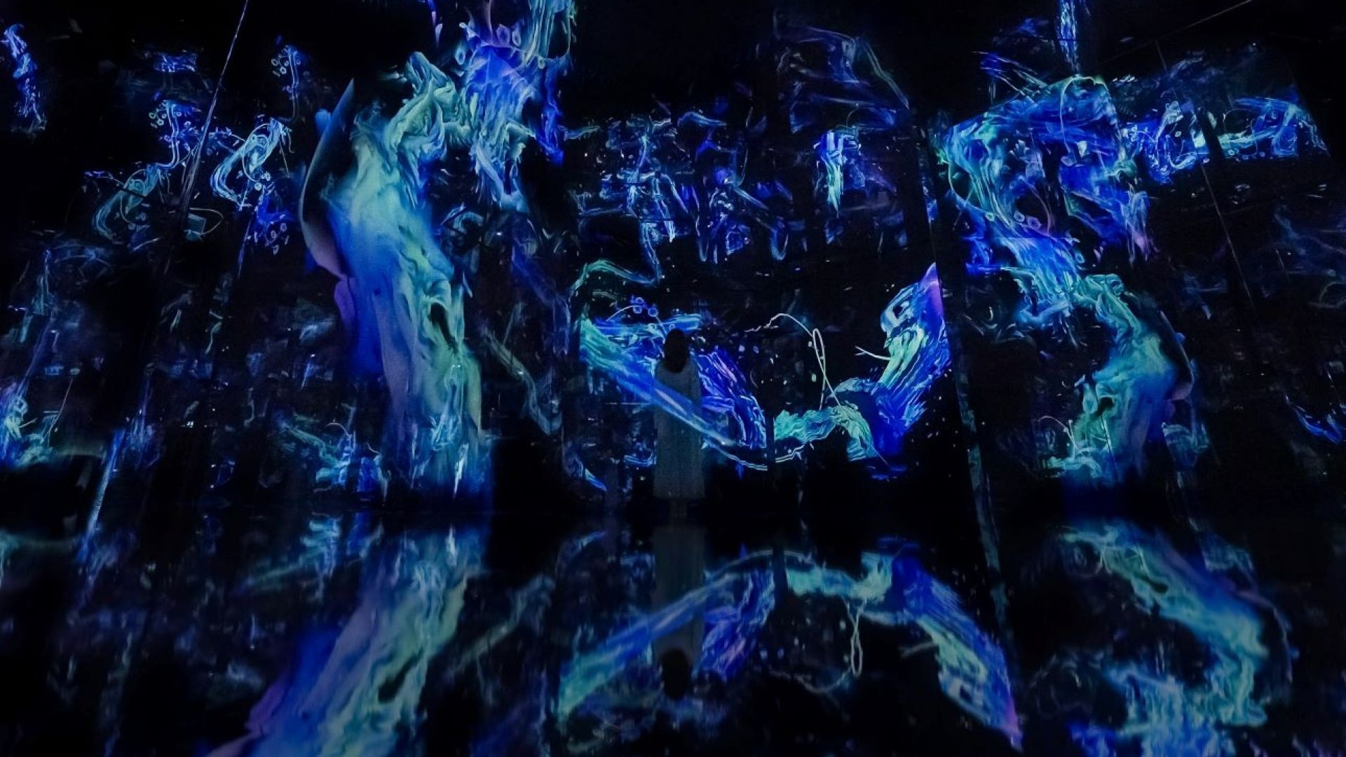 1 Day 1 Park (Dated & Timed)