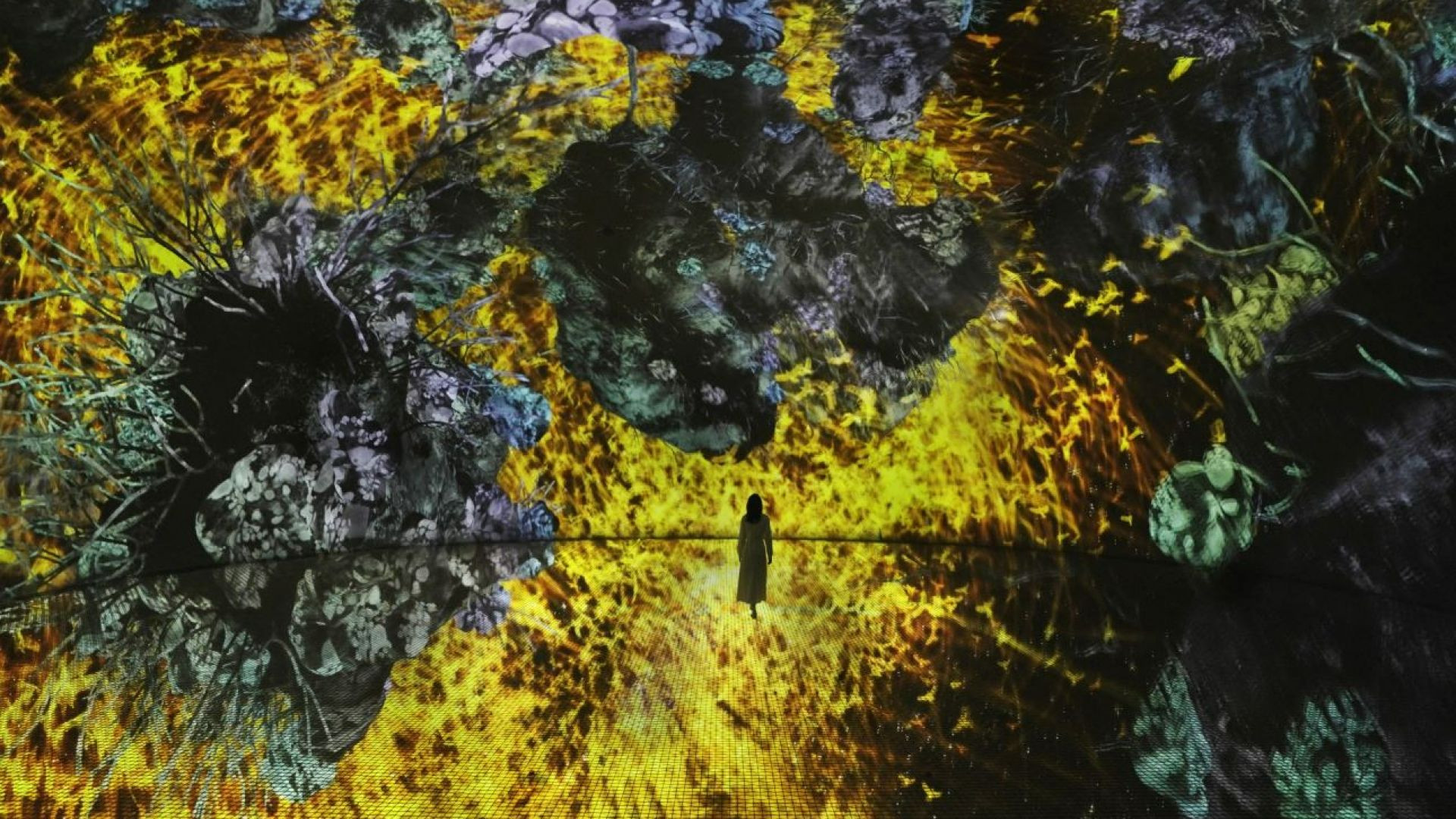 1 Day 1 Park (Dated & Timed)