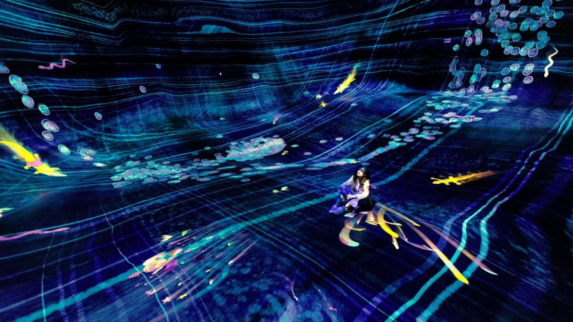 1 Day 1 Park (Dated & Timed)