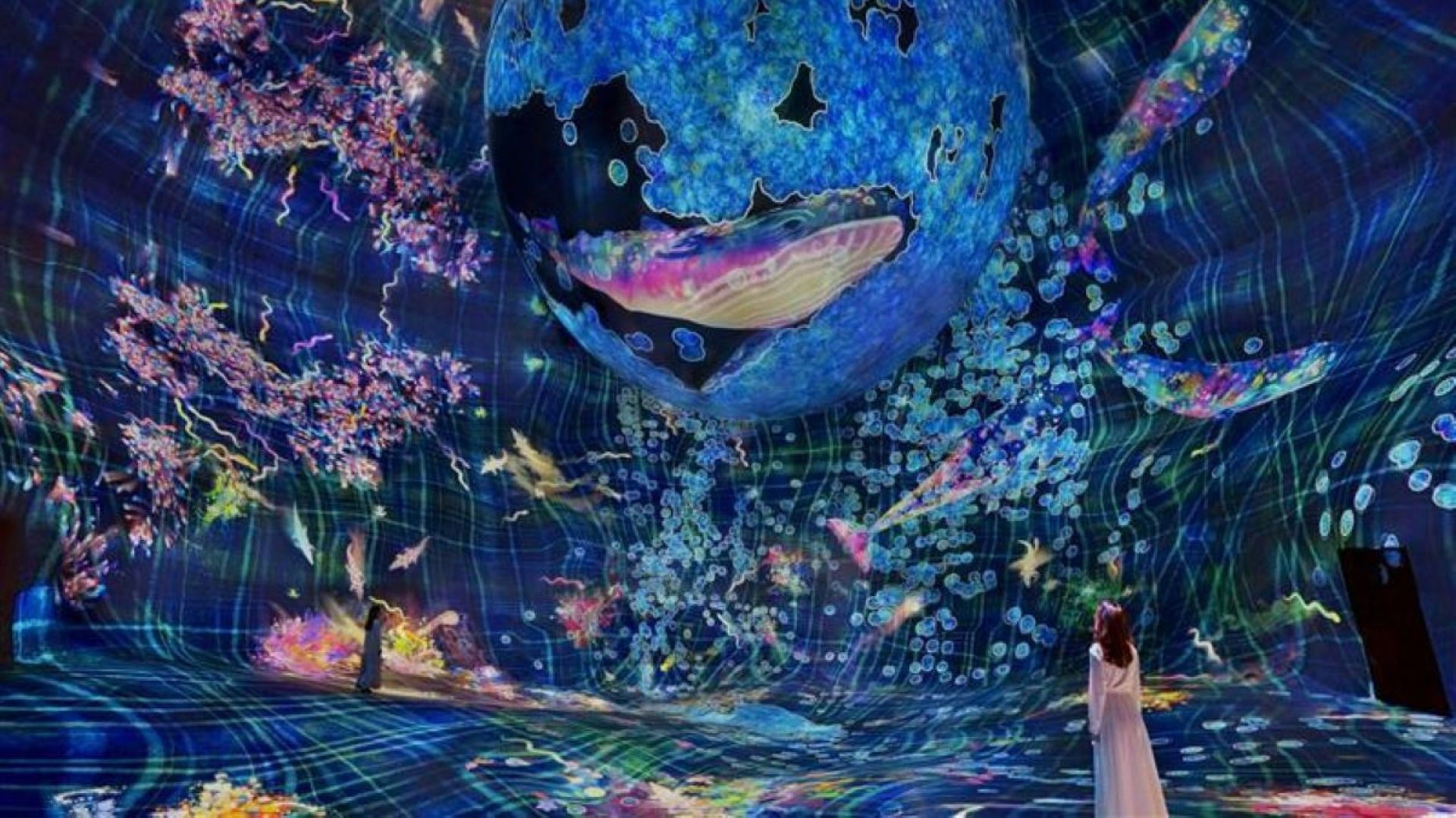 1 Day 1 Park (Dated & Timed)