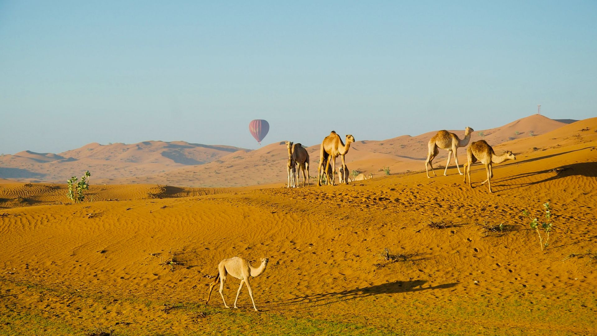 ActionFlight Hot Air Balloon - sharing 