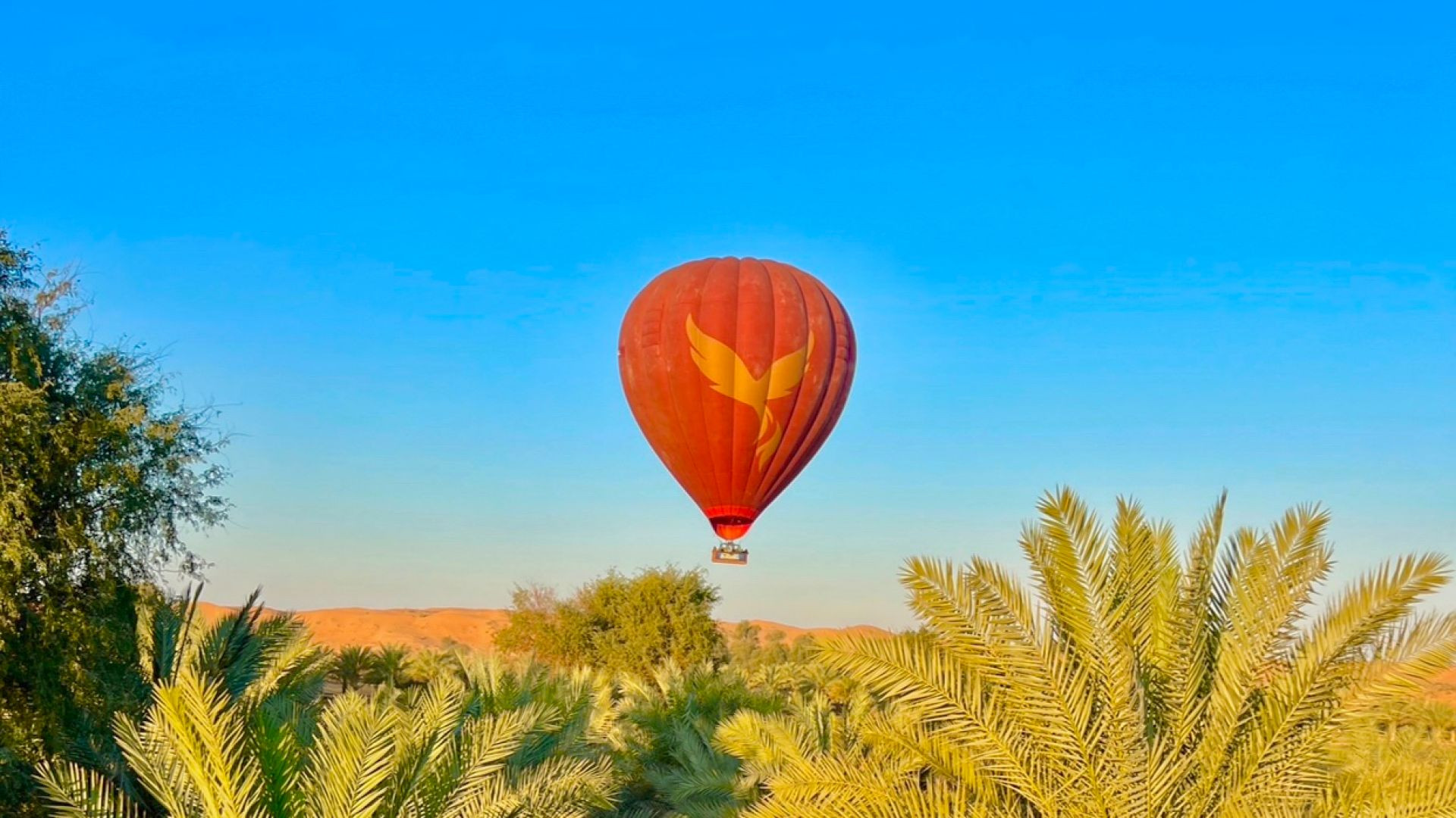 ActionFlight Hot Air Balloon - sharing 