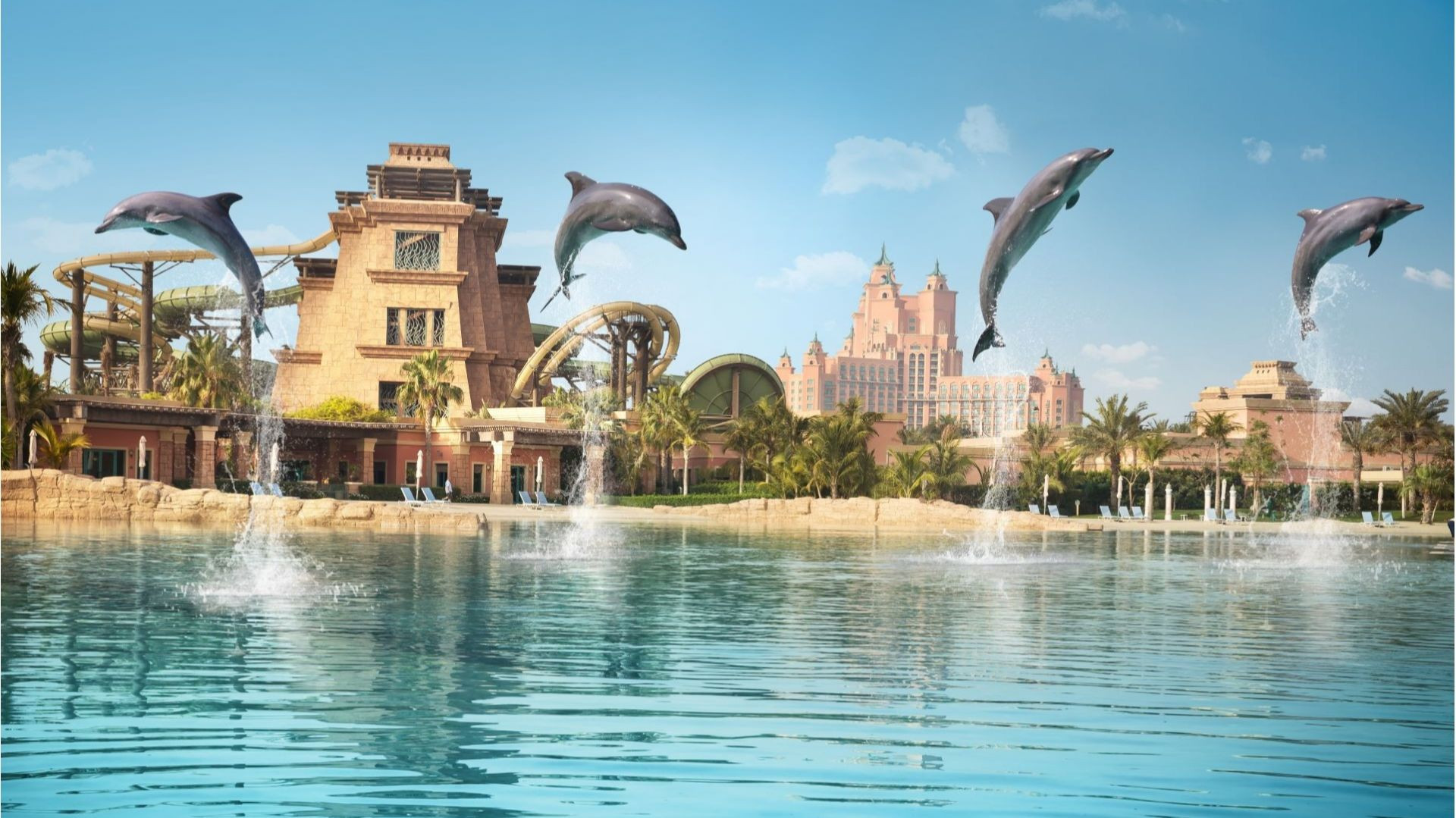 Aquaventure Water Park - Atlantis Dolphin Meet & G