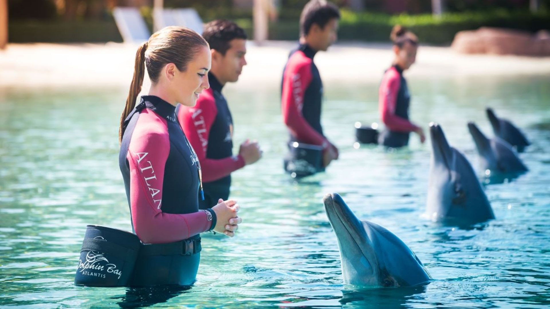 Aquaventure Water Park - Atlantis Dolphin Swim 