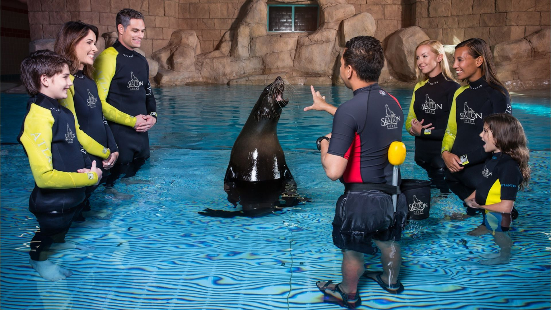 Aquaventure Water Park - Atlantis Sea Lion Dip & P