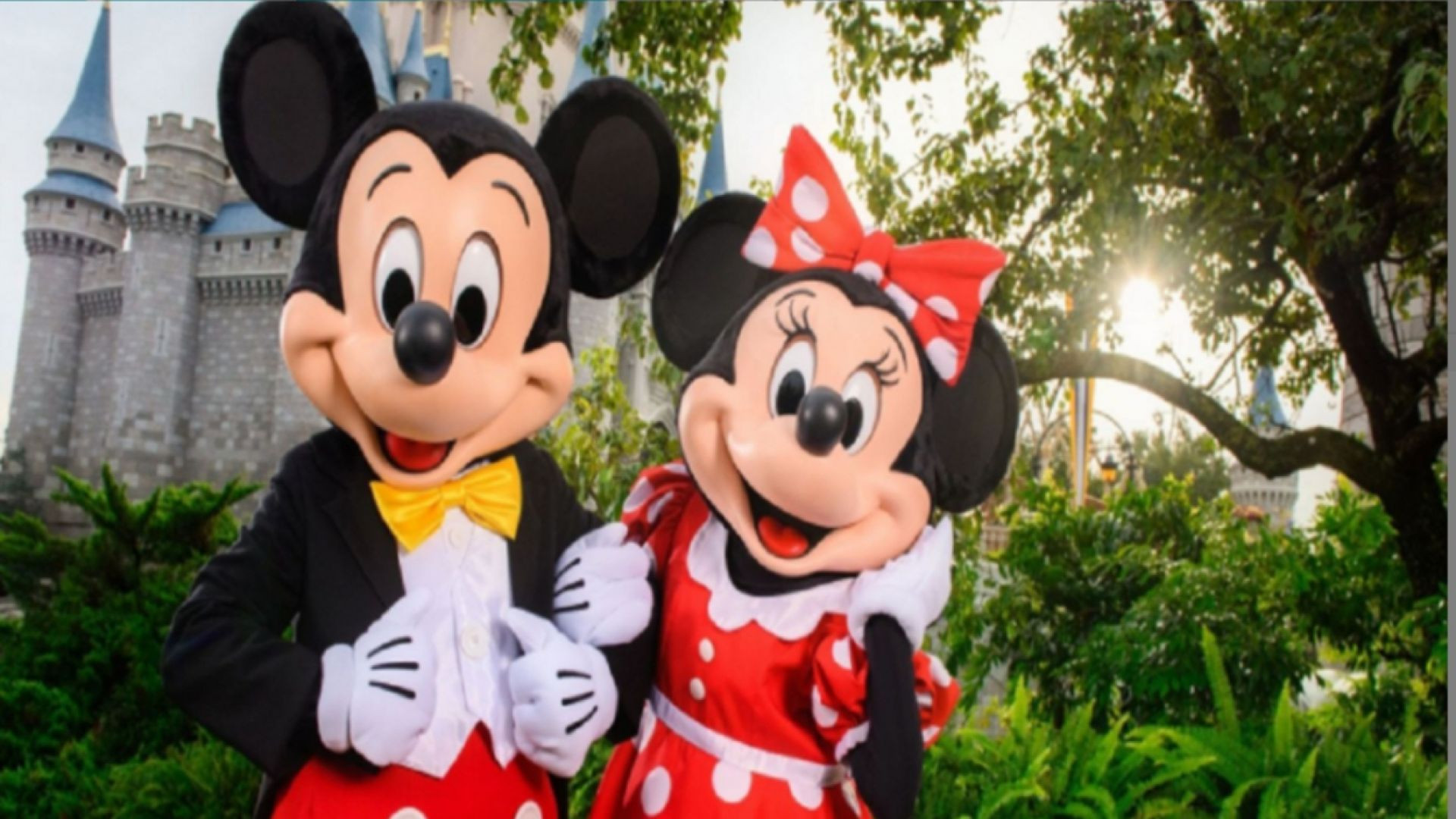 Attraction World - 2024 Disney and Universal Combo