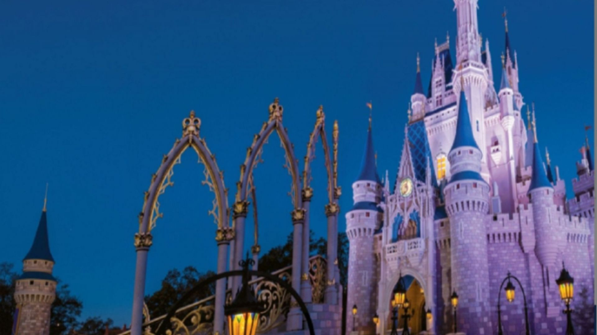 Attraction World - Disney and SeaWorld w MINI SEA 