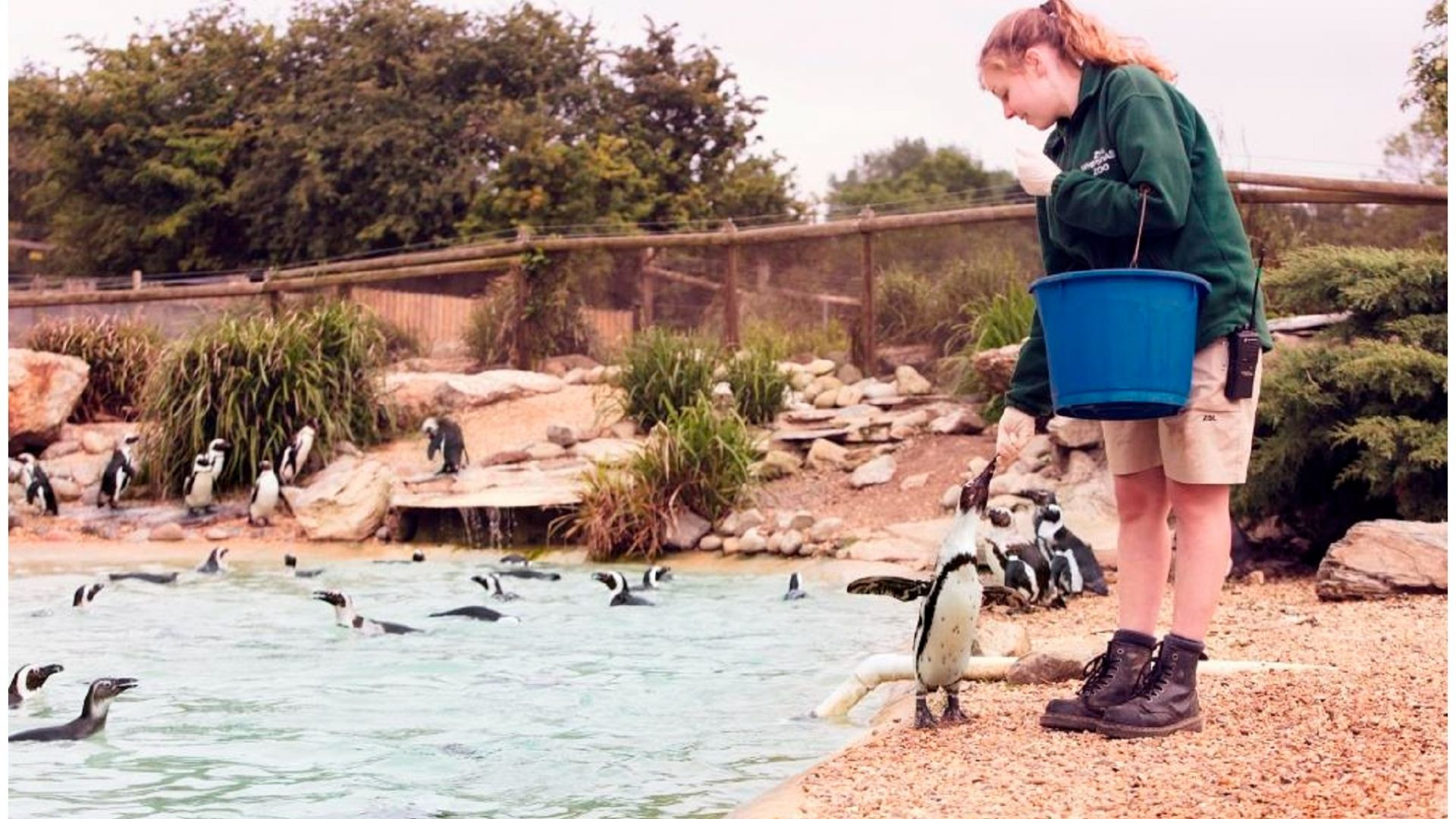 Attraction World - ZSL Whipsnade Zoo