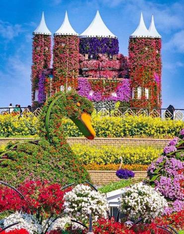 {{activity.activity_name}}