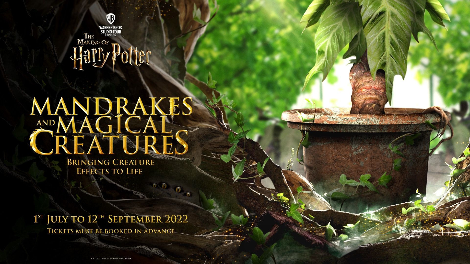 Evan Evans - Harry Potter Warner Bros. Tour with O