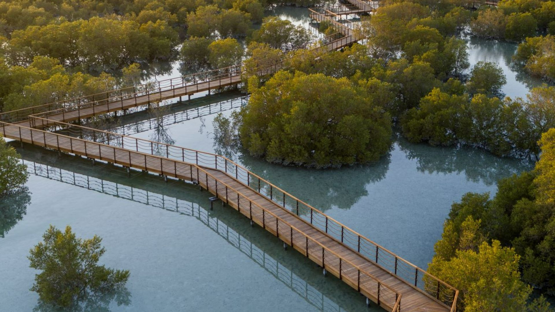 Jubail Mangrove Park - Jubail Mangrove Park - Boar