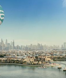 {{activity.activity_name}}