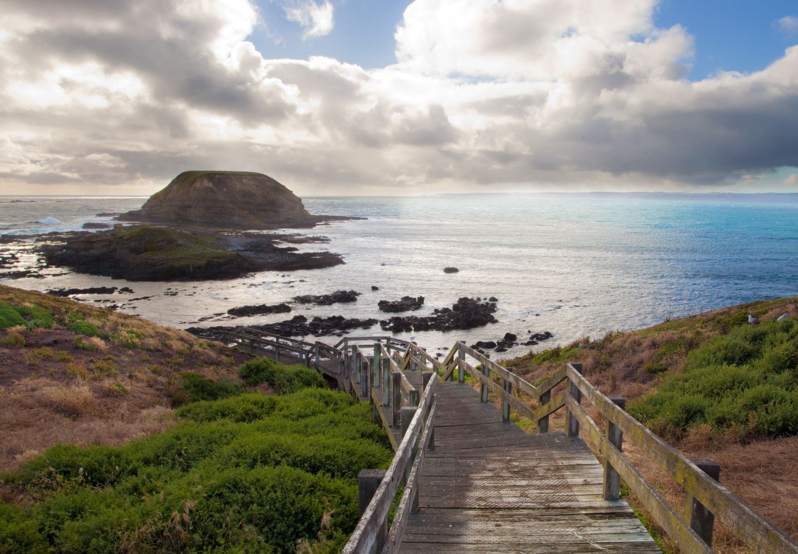 Tiqets Supplier - Phillip Island Penguin Parade an
