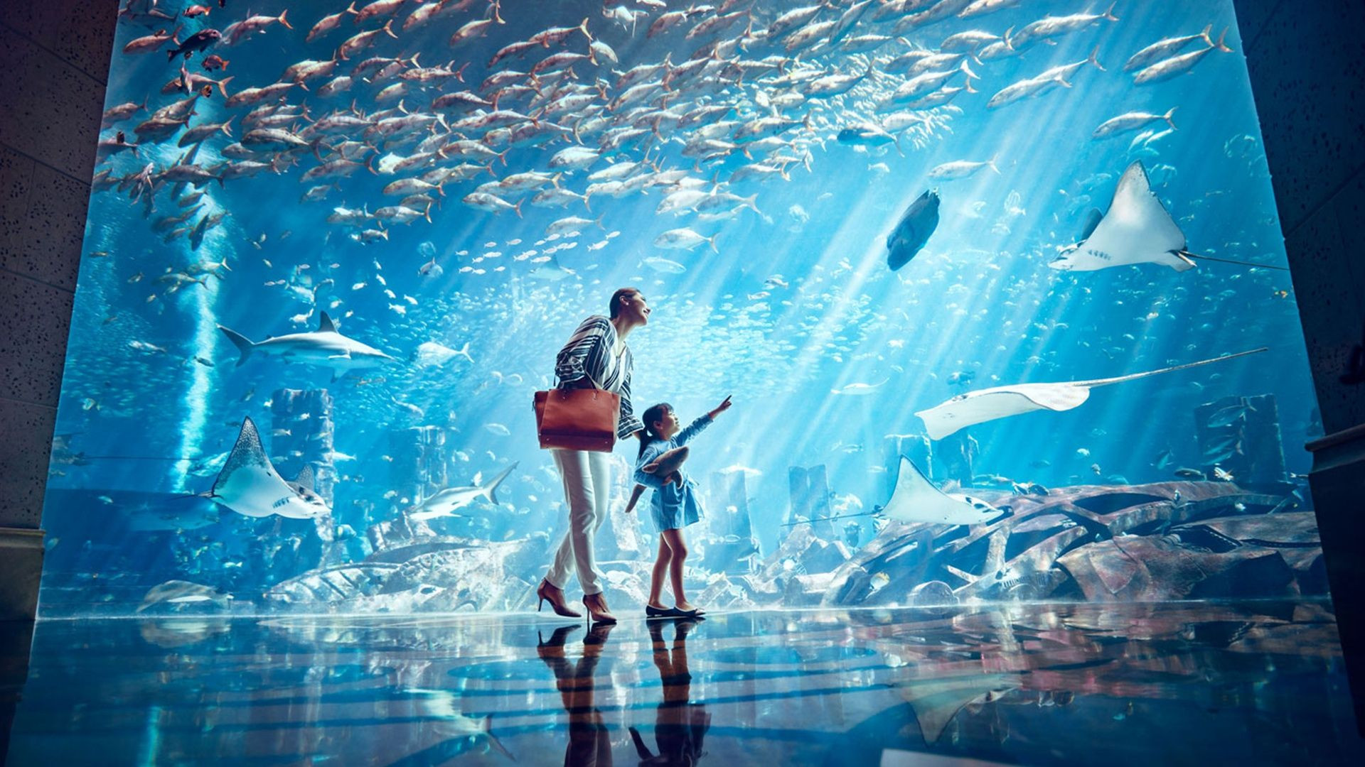 Atlantis Aquaventure - One Day Superpass (TRIDENT 