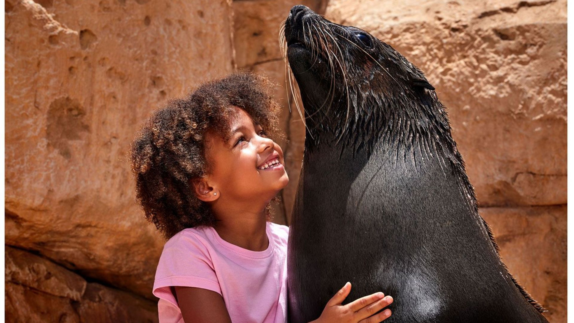 Atlantis Sea Lion Meet & Greet