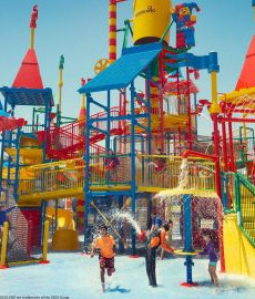 {{activity.activity_name}}