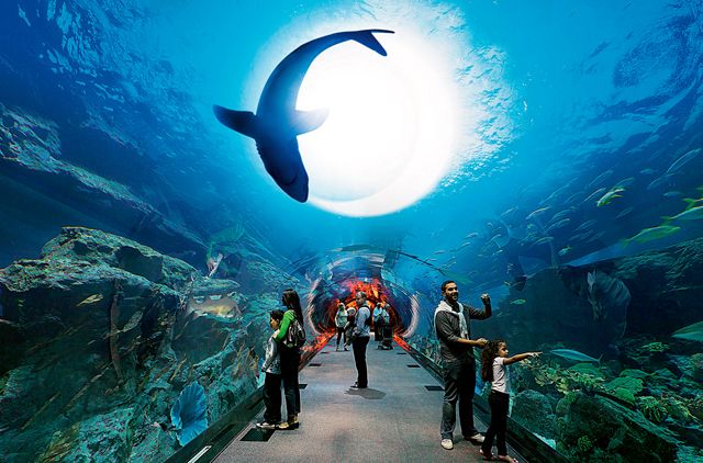 dubai mall aquarium tunnel