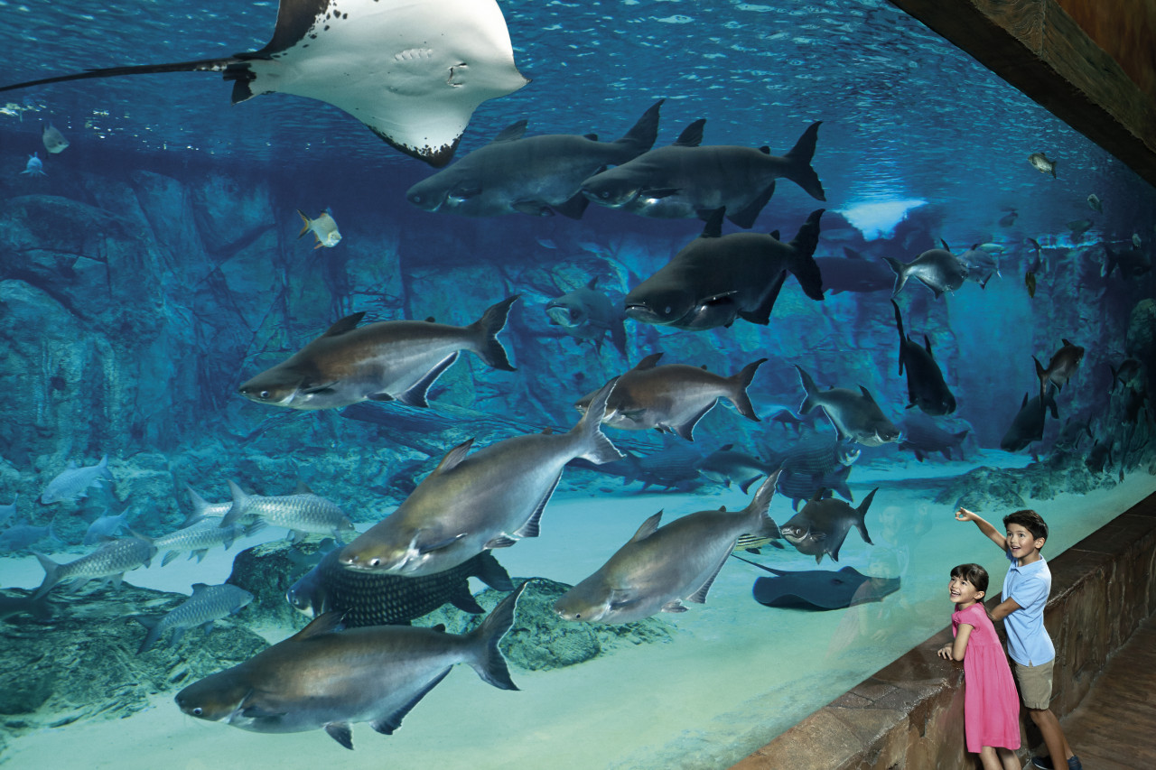 River Safari Admission with Two Boat Rides (API In