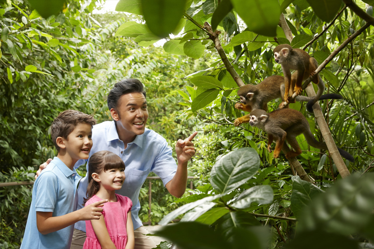 River Safari Admission with Two Boat Rides (API In