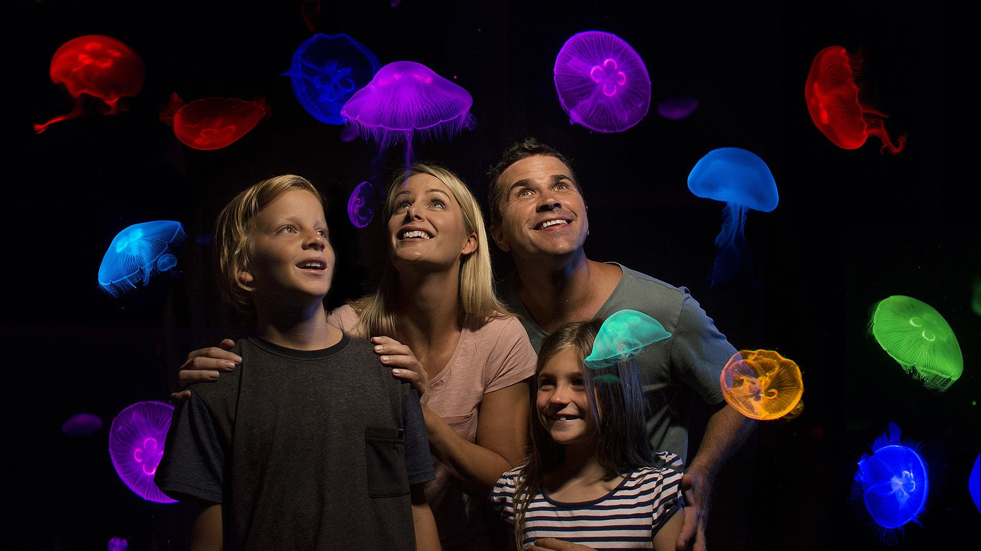 SEA LIFE Sunshine Coast: Entry Ticket