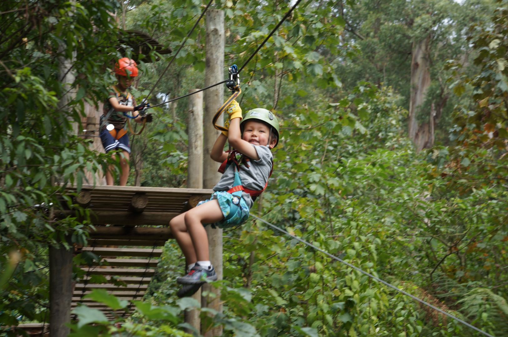 Treetops Adventure: Belgrave Park