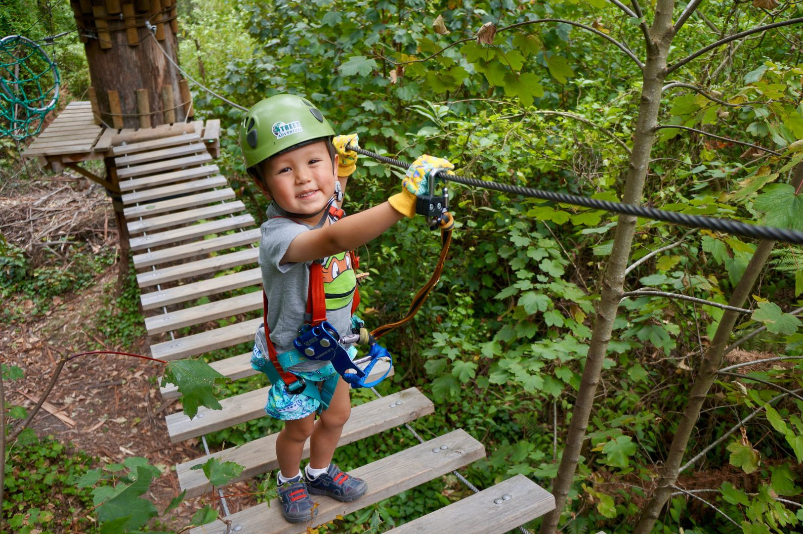 Treetops Adventure: Belgrave Park