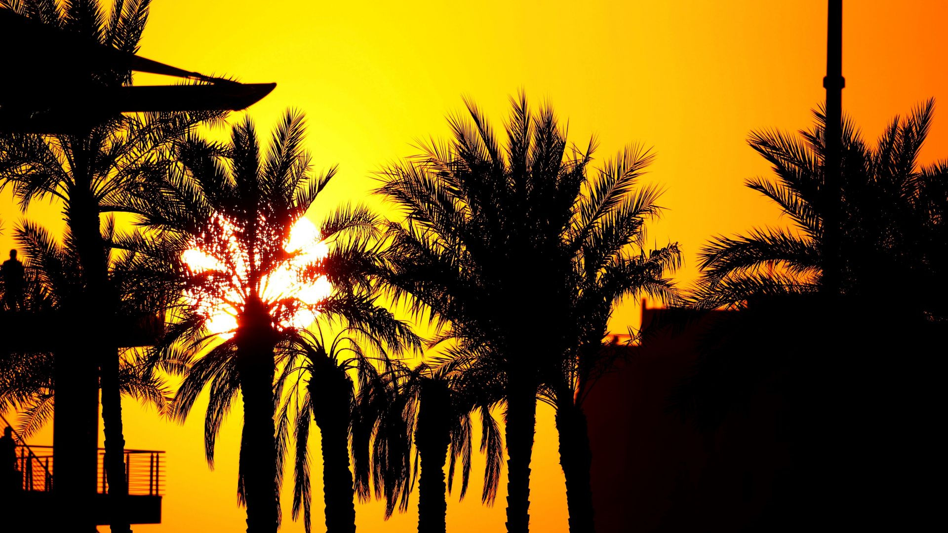 Yas Marina Circuit - Venue Tour